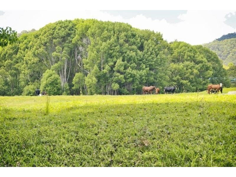 2 Ringtail Road, Stokers Siding NSW 2484