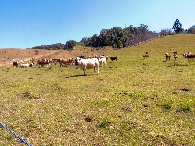 69 Blakeneys Road, Stokers Siding NSW 2484