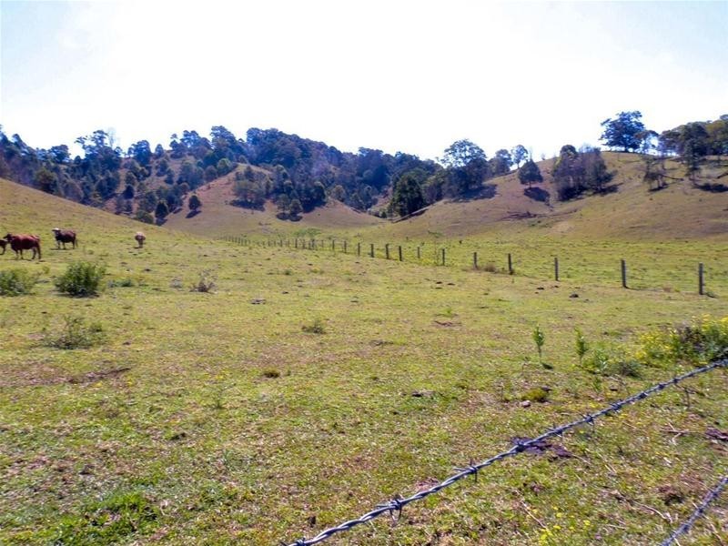 69 Blakeneys Road, Stokers Siding NSW 2484