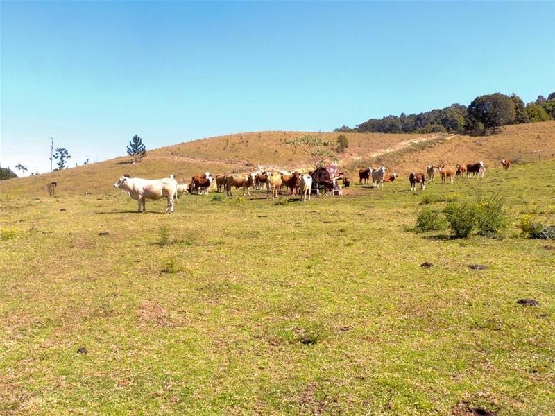 69 Blakeneys Road, Stokers Siding NSW 2484