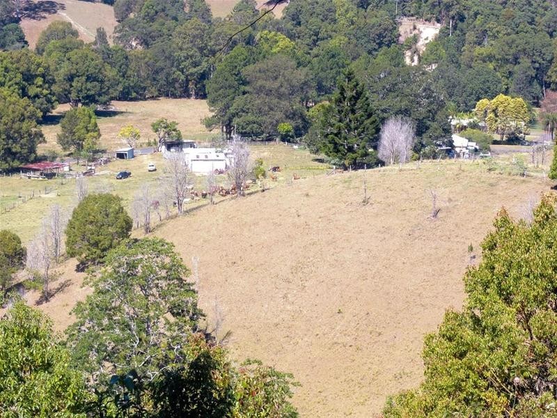 69 Blakeneys Road, Stokers Siding NSW 2484