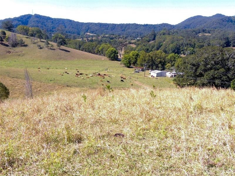 69 Blakeneys Road, Stokers Siding NSW 2484