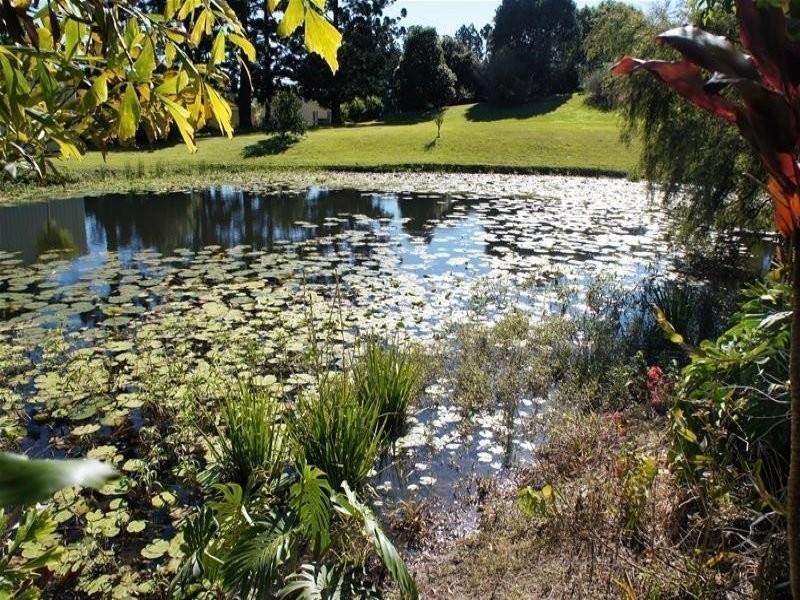 81 The Grove, Nunderi NSW 2484