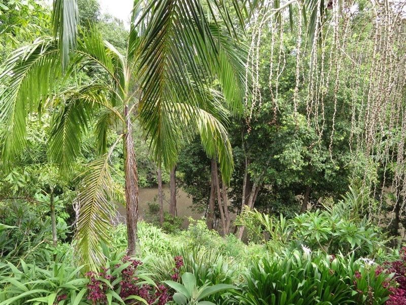 9 Old Convent Road, Uki NSW 2484