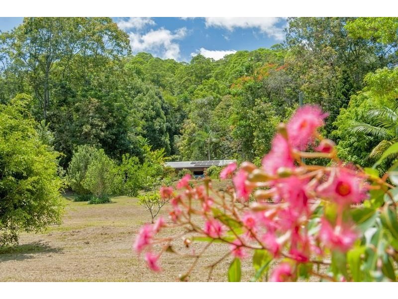 71 Rowlands Creek Road, Uki NSW 2484