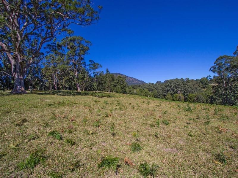 20 Mount Burrell Road, Mount Burrell NSW 2484
