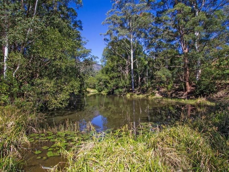20 Mount Burrell Road, Mount Burrell NSW 2484