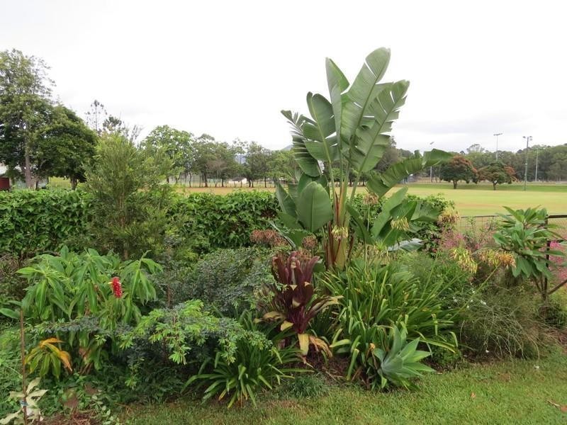 10 James Street, Murwillumbah NSW 2484