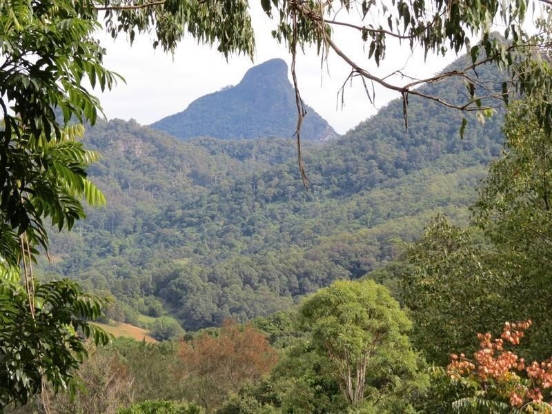 11 Mitchell Street, Uki NSW 2484