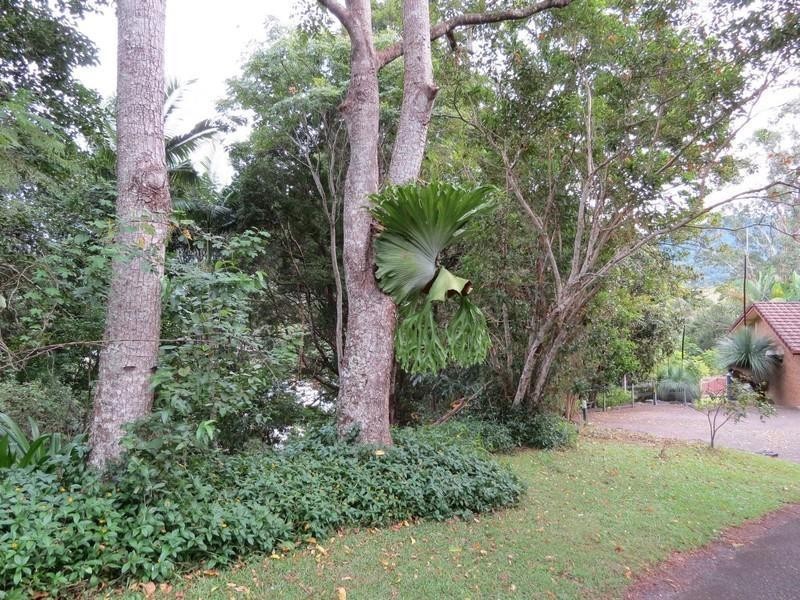 11 Mitchell Street, Uki NSW 2484