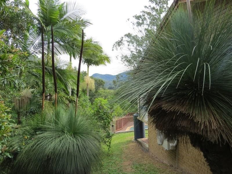 11 Mitchell Street, Uki NSW 2484