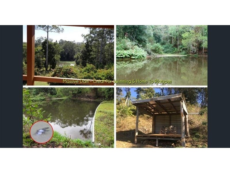 9/56 Robb Road, Blue Knob NSW 2480