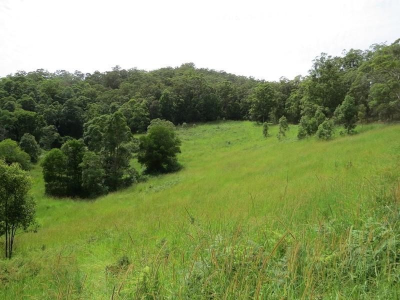 78 Manns Road, Rowlands Creek NSW 2484