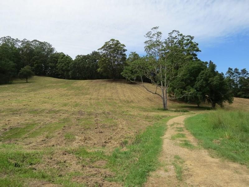 78 Manns Road, Rowlands Creek NSW 2484