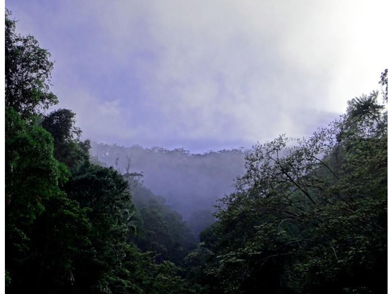 lot 164 Boyds Lane, Dulguigan NSW 2484