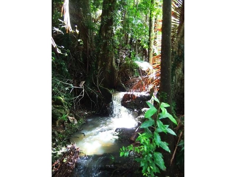 lot 164 Boyds Lane, Dulguigan NSW 2484