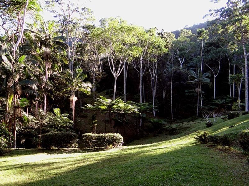 lot 164 Boyds Lane, Dulguigan NSW 2484