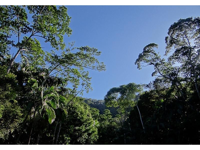 lot 164 Boyds Lane, Dulguigan NSW 2484