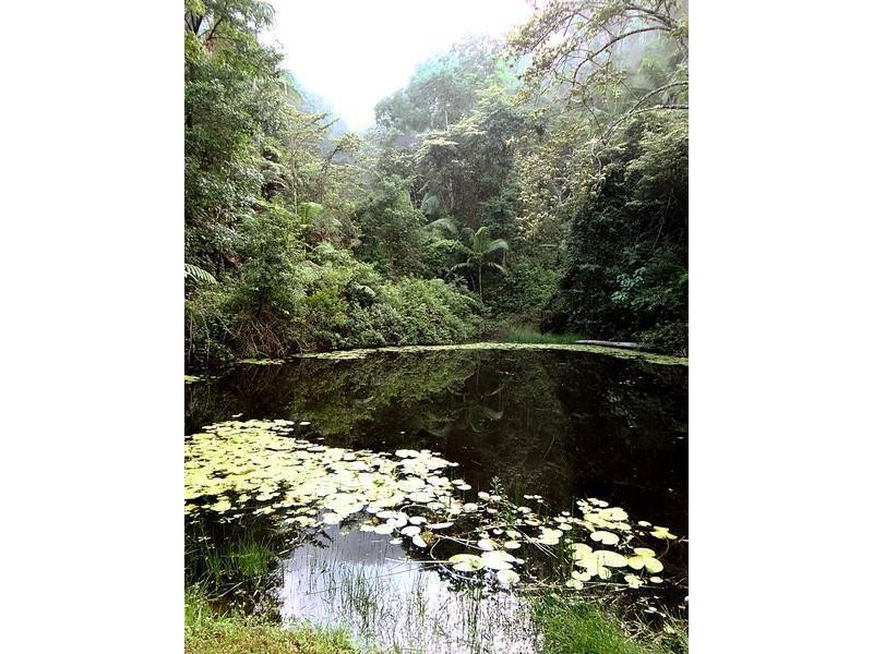 lot 164 Boyds Lane, Dulguigan NSW 2484