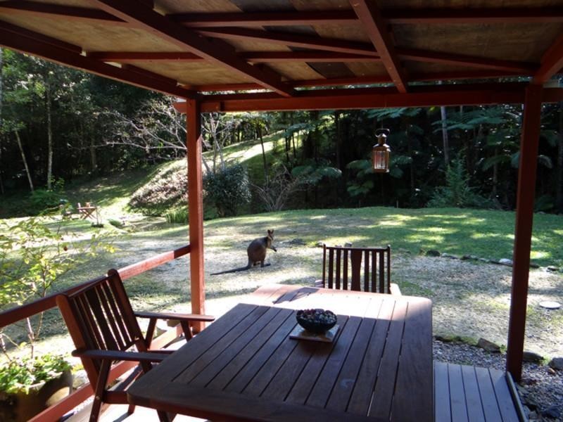 lot 164 Boyds Lane, Dulguigan NSW 2484