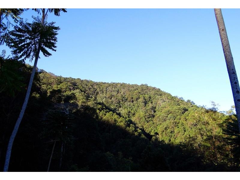 lot 164 Boyds Lane, Dulguigan NSW 2484