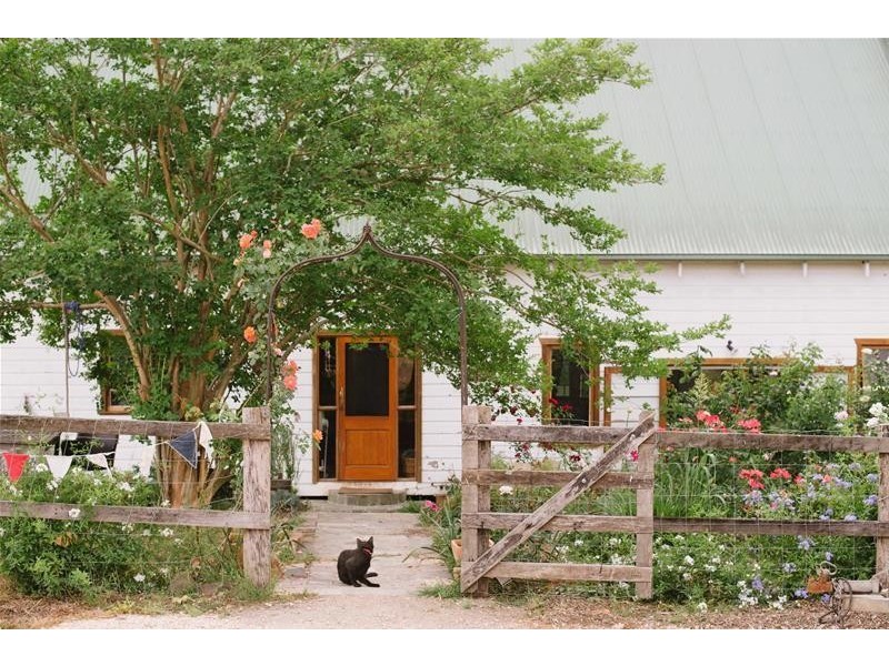 806 Limpinwood Road, Tyalgum NSW 2484