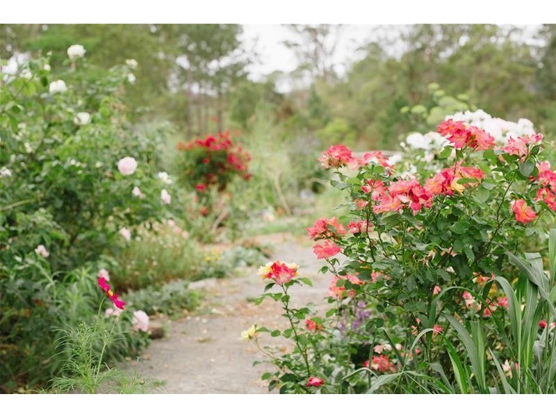 806 Limpinwood Road, Tyalgum NSW 2484