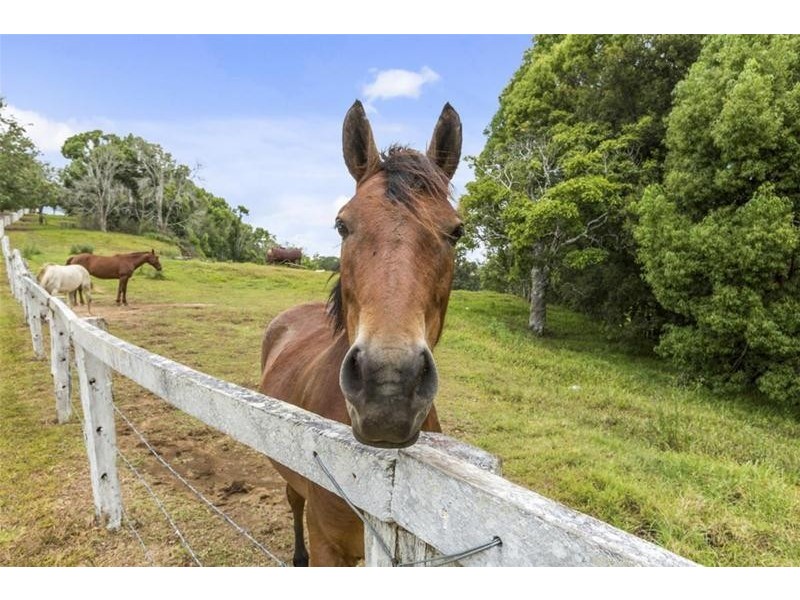 196b Stokers Road, Stokers Siding NSW 2484
