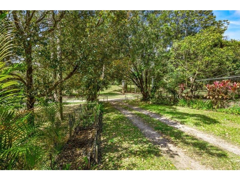 48 Wardrop Street, Murwillumbah NSW 2484