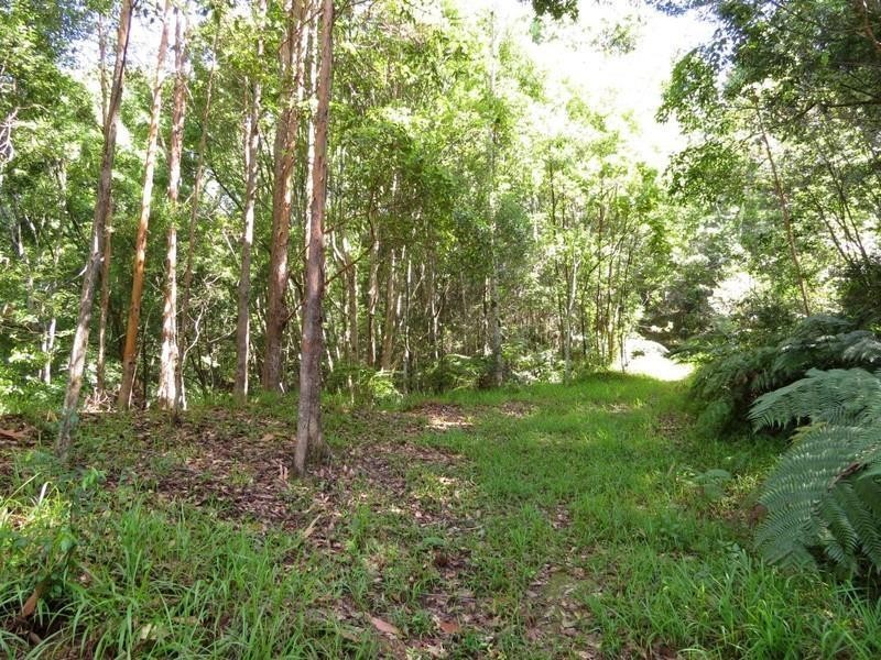 111 Braeside Drive, Uki NSW 2484