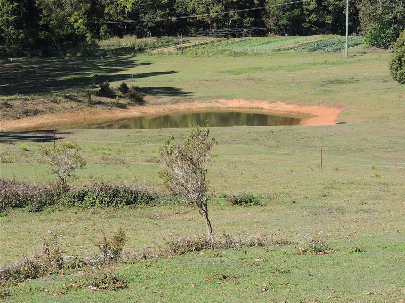 64 Yarrabee Terrace, Stokers Siding NSW 2484