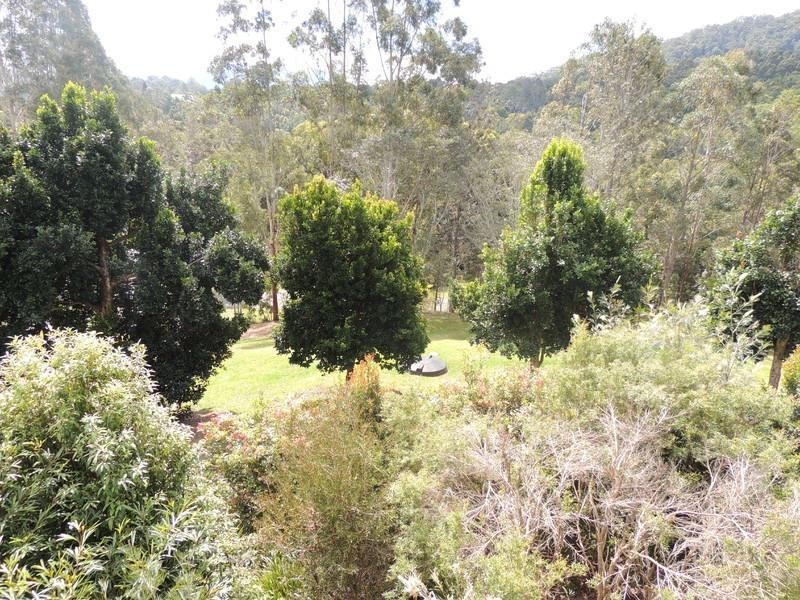 3 Toon Close, Uki NSW 2484