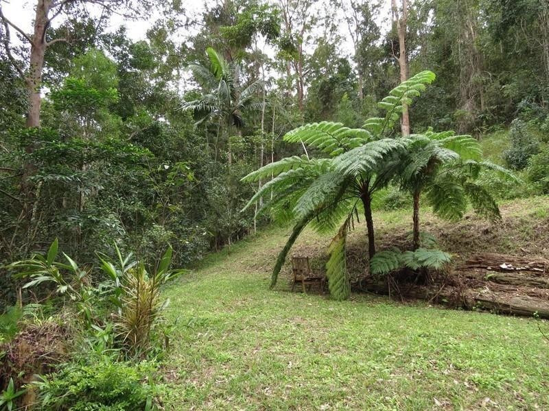 911 Kyogle Road, Uki NSW 2484