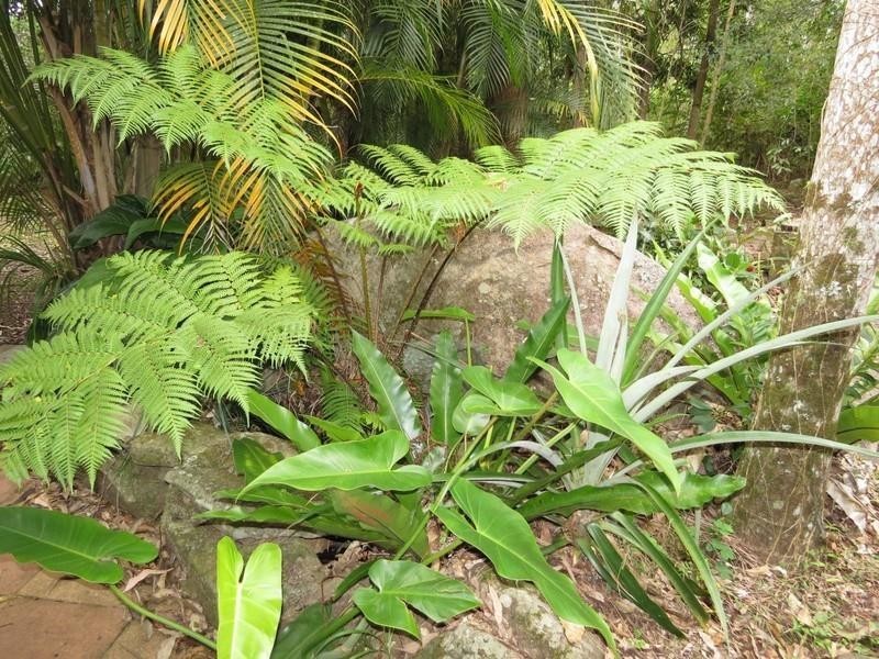 911 Kyogle Road, Uki NSW 2484