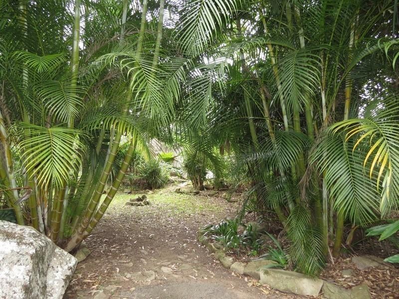 911 Kyogle Road, Uki NSW 2484