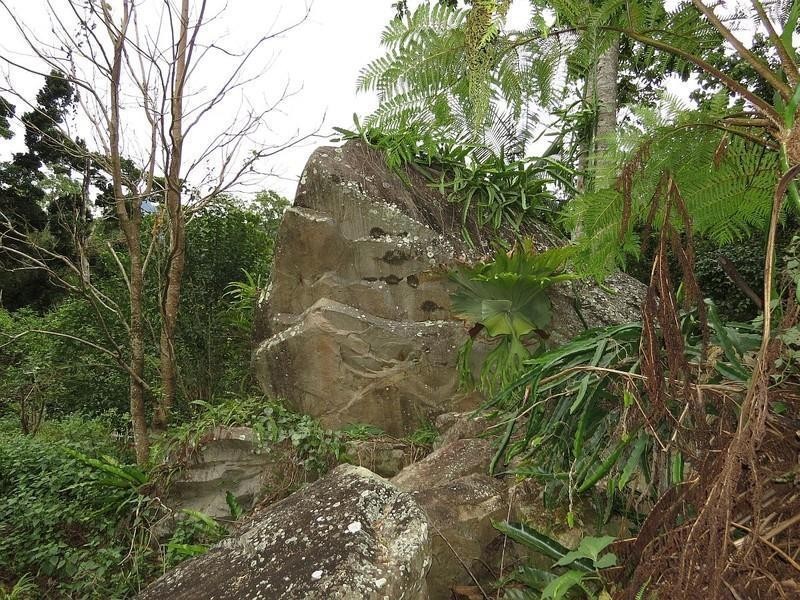 911 Kyogle Road, Uki NSW 2484