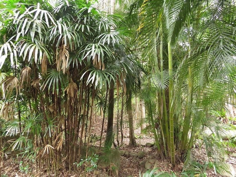 911 Kyogle Road, Uki NSW 2484