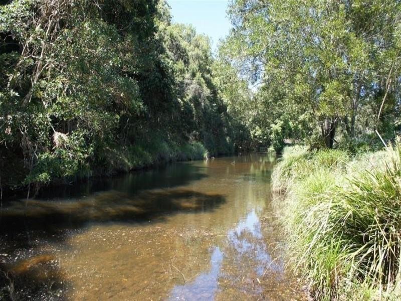 239 Rowlands Creek Road, Uki NSW 2484