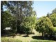 239 Rowlands Creek Road, Uki NSW 2484