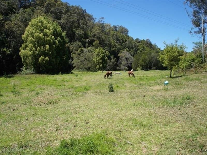 239 Rowlands Creek Road, Uki NSW 2484