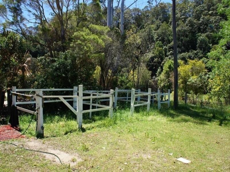 239 Rowlands Creek Road, Uki NSW 2484