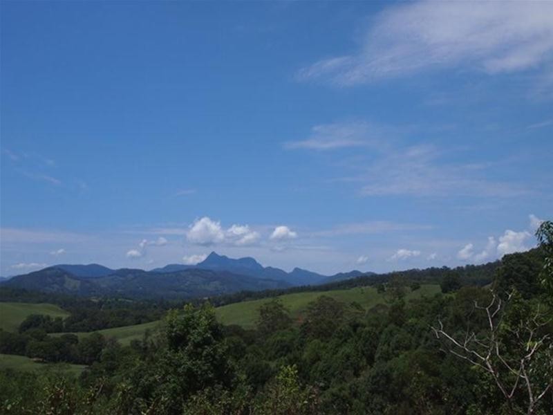 681 Nobbys Creek Road, Nobbys Creek NSW 2484