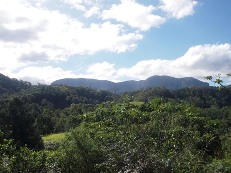 681 Nobbys Creek Road, Nobbys Creek NSW 2484