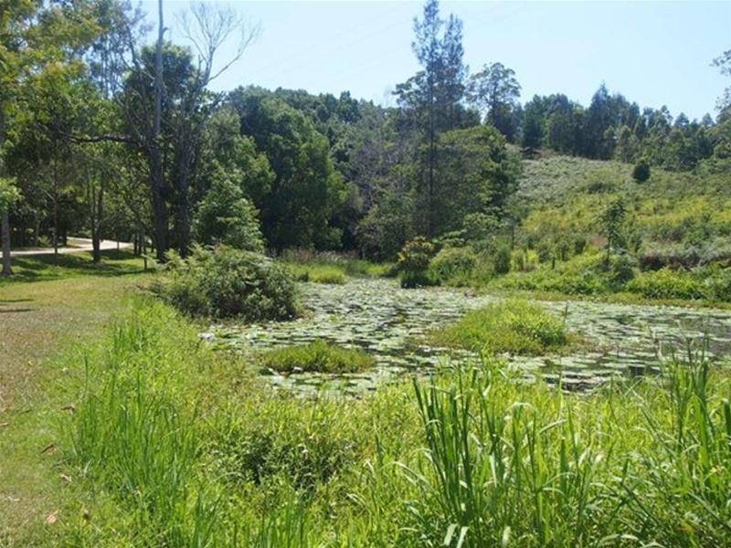 681 Nobbys Creek Road, Nobbys Creek NSW 2484