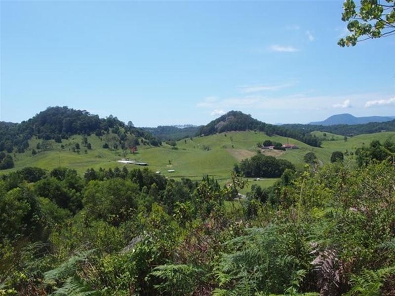 681 Nobbys Creek Road, Nobbys Creek NSW 2484