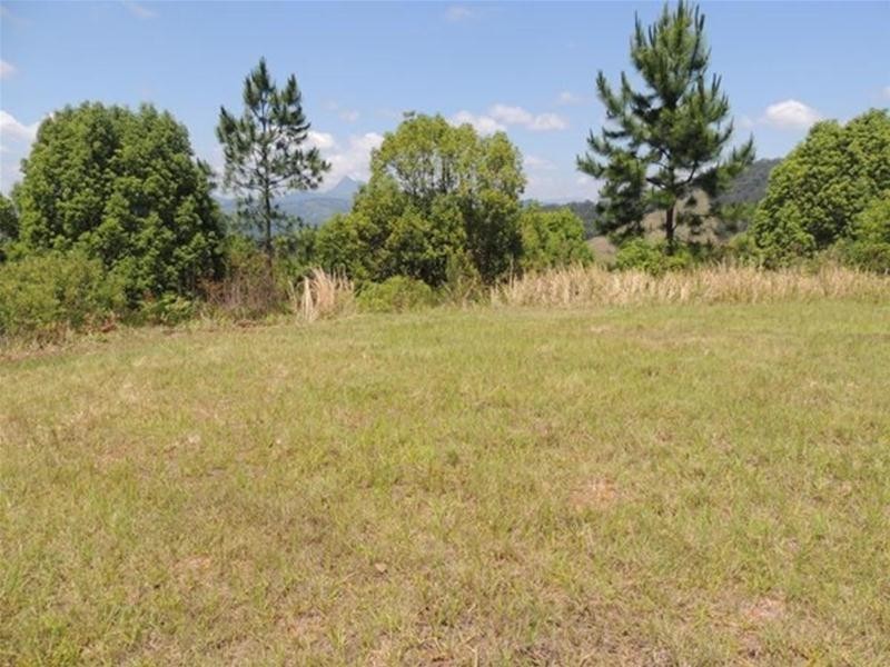 681 Nobbys Creek Road, Nobbys Creek NSW 2484