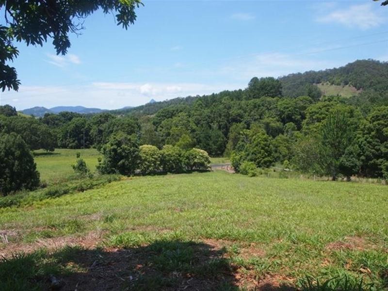 681 Nobbys Creek Road, Nobbys Creek NSW 2484