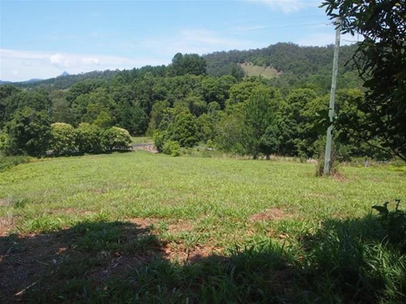 681 Nobbys Creek Road, Nobbys Creek NSW 2484