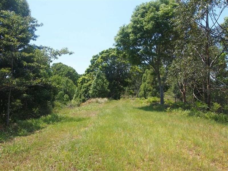 681 Nobbys Creek Road, Nobbys Creek NSW 2484