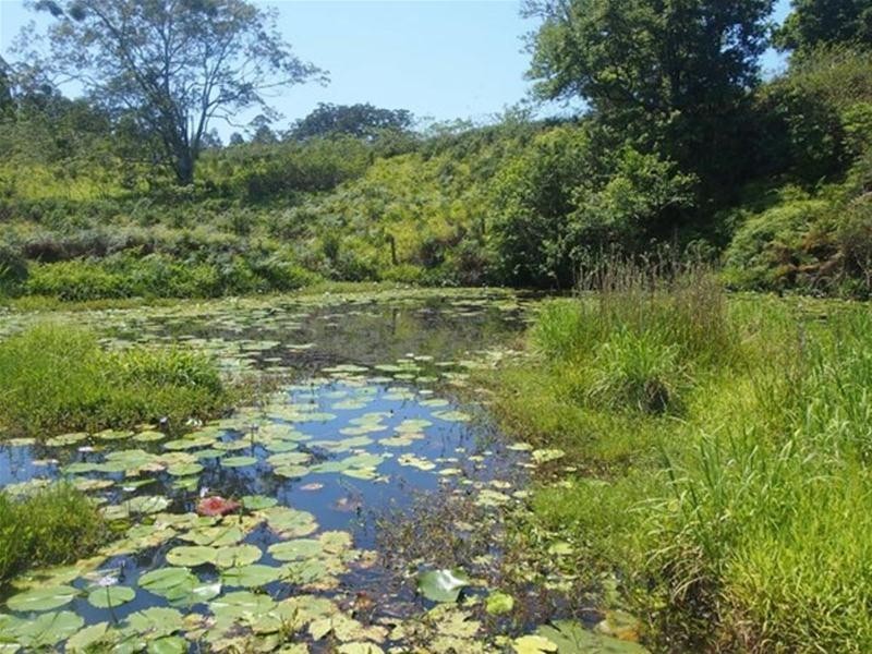 681 Nobbys Creek Road, Nobbys Creek NSW 2484